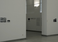 O Fotógrafo Martins Sarmento - imagem da exposição. SMS, 2012.