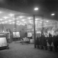 Comemorações centenárias e milenares. Exposição Industrial e Agrícola de 1953